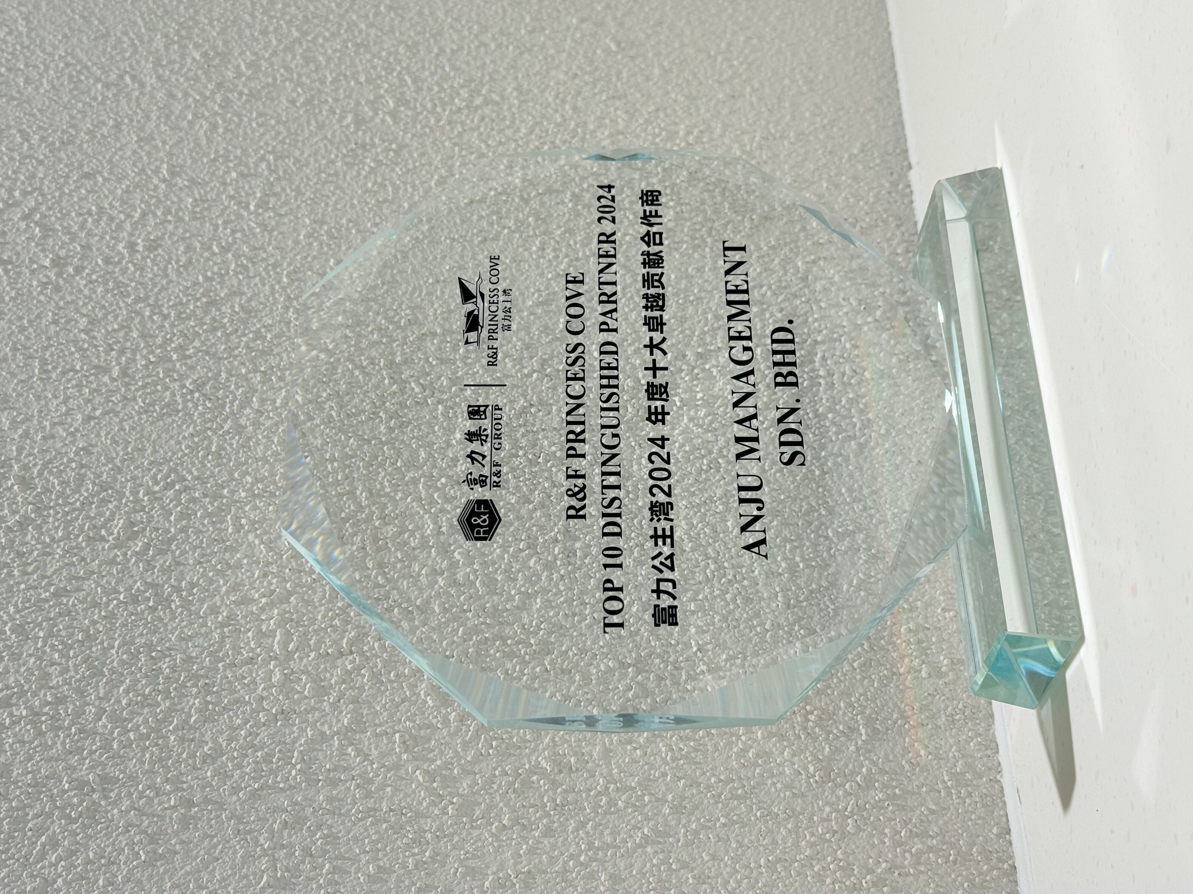 R&F Princess Cove Top 10 Distinguished Partner Award 2024 for ANJU